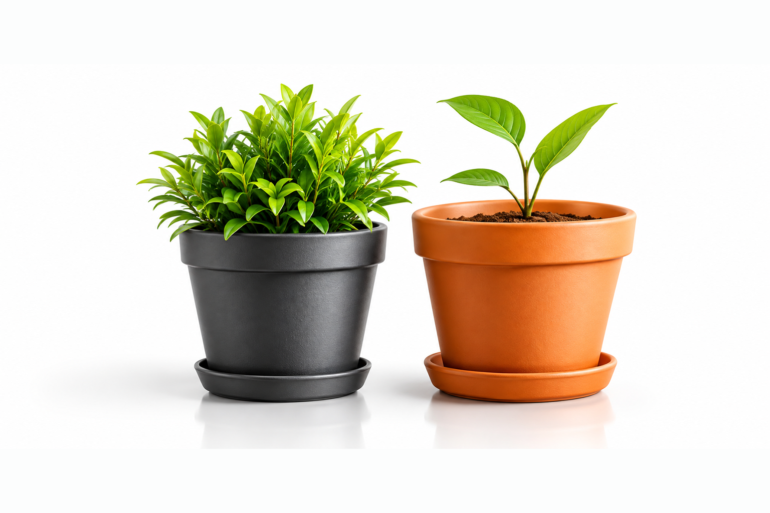 Product Guides